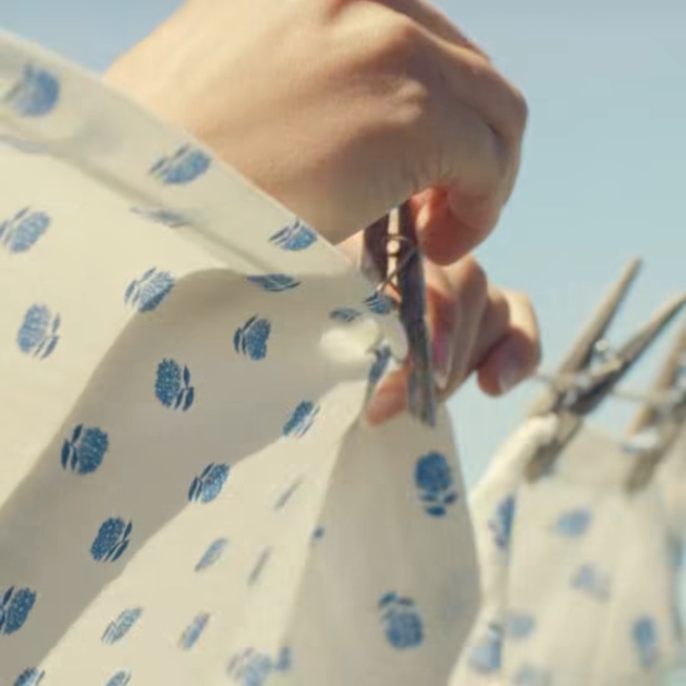 Dairy Boy / American Charm Pillow Cases